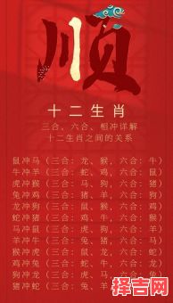 一句千金是什么生肖？千金代表什么动物打一肖-第1张图片