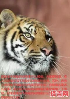 虎头蛇尾来办事是什么生肖？牛鬼蛇龙打一生肖-第1张图片