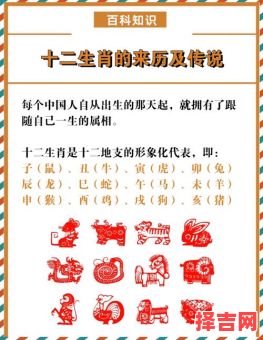 七班九点二是什么生肖？七班九点的动物十二生肖指-第1张图片