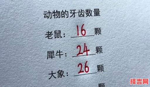 十二生肖牙齿整齐的动物是什么?12生肖牙齿最多的动物-第1张图片 十二生肖牙齿整齐的动物是什么?12生肖牙齿最多的动物-第1张图片