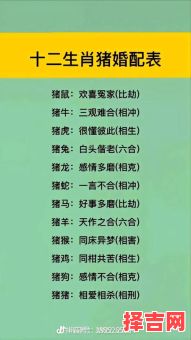 十二生肖四大才子是什么?四大才子最佳答案动物-第1张图片 十二生肖四大才子是什么?四大才子最佳答案动物-第1张图片