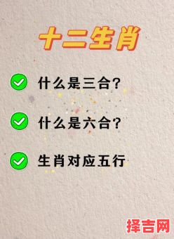 四书六经是什么生肖？四书六经最正确生肖-第1张图片