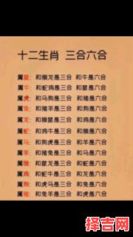 一大群的生肖是什么？成群结队打一最佳生肖-第1张图片