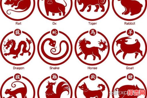 读四书五经是什么生肖？十二生肖谁读四书五经-第1张图片