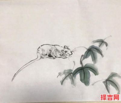 欲钱买最不干净的动物是什么生肖？最不干净动物正确生肖-第1张图片