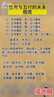 红人身边的人是什么打一生肖？大红人打一生肖-第1张图片