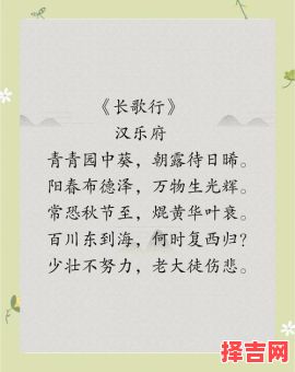 少壮不努力老大徒伤悲是什么生肖？少壮不努力是什么生肖-第1张图片