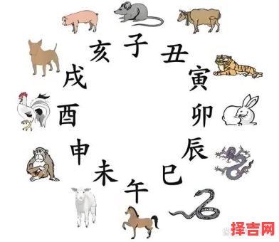 间的生肖是什么生肖？天间两阴会是什么生肖-第1张图片