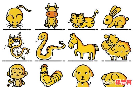 后指生肖是什么生肖？六指什么生肖?-第1张图片