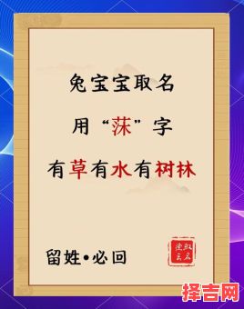 莯是什么生肖？婊孑打一最佳生肖-第1张图片