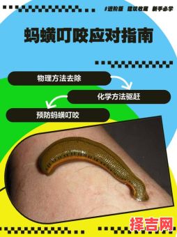 莰是什么生肖？蚂蟥指什么生肖-第1张图片