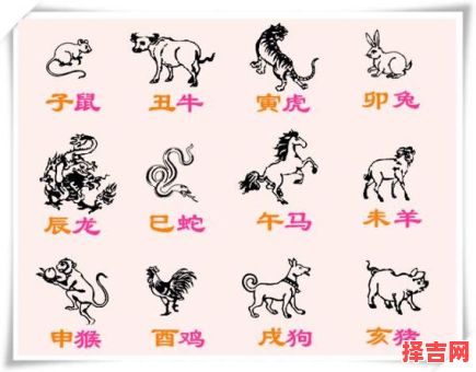 界生肖是什么？界字解一生肖-第1张图片