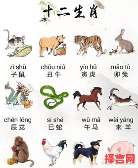 南下是什么生肖？帝王南下打一准确动物-第1张图片