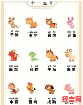 鸨母是什么生肖？舅娘是指十二生肖哪个肖-第1张图片