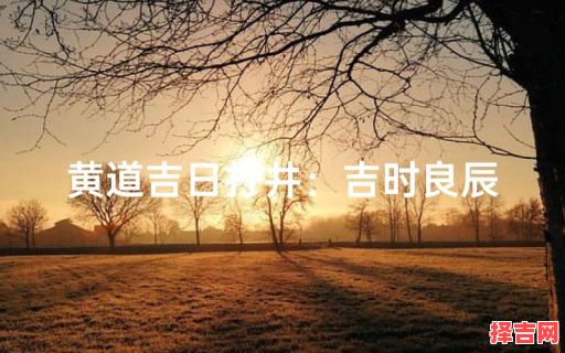 2025年5月打井吉日查询 2025年打井好日子-第1张图片