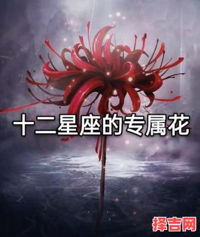 十二星座代表暗器 十二星座代表花朵-第1张图片