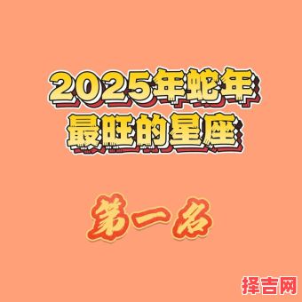 双子座2025年6月14日事业财运爱情运势-第1张图片