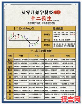 十二长生大运流年用法十二长生如何排大运-第1张图片 十二长生大运流年用法十二长生如何排大运-第1张图片