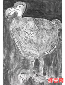 生民涂炭打一动物-第1张图片 生民涂炭打一动物-第1张图片