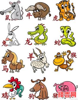 绵里藏针代表什么生肖-第1张图片