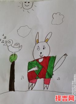 家有才女打一生肖-第1张图片