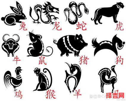 眼中钉点明一生肖-第1张图片