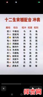 十二生肖最新顺序排列与排序-第1张图片 十二生肖最新顺序排列与排序-第1张图片