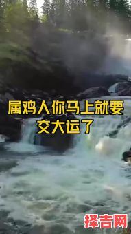 交大运时是否不顺 交大运前后的征兆-第1张图片