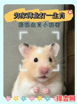 望眼欲穿猜一生肖-第1张图片