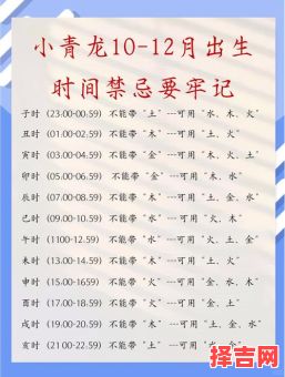 龙年本命年需知事项-第1张图片 龙年本命年需知事项-第1张图片