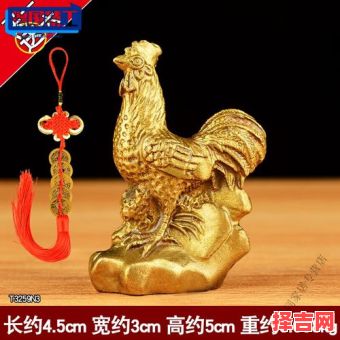 1981年属鸡办公室风水布局与办公桌最佳朝向-第1张图片