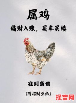 05年属鸡2025年运程 05年属鸡人2023年运势-第1张图片 05年属鸡2025年运程 05年属鸡人2023年运势-第1张图片
