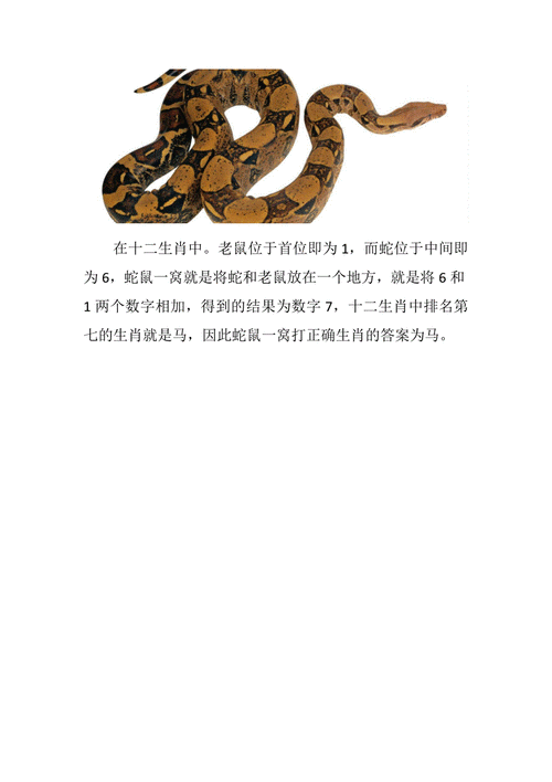 人民公仆打一生肖-第1张图片 人民公仆打一生肖-第1张图片