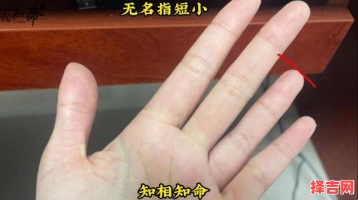 无名指较食指短-第1张图片 无名指较食指短-第1张图片