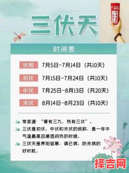 中伏是几月几日2023年 2023中伏是几月几日-第1张图片