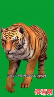 随意一瞥是哪个生肖-第1张图片 随意一瞥是哪个生肖-第1张图片