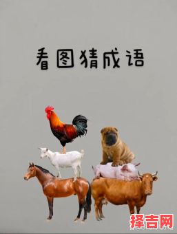 走兽飞禽打一生肖-第1张图片