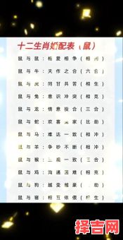 属鼠同岁结婚好吗属鼠和属鼠结婚如何-第1张图片 属鼠同岁结婚好吗属鼠和属鼠结婚如何-第1张图片