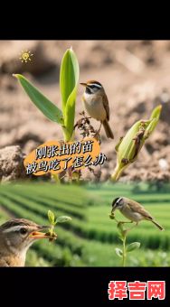 庄稼不识打最佳动物-第1张图片