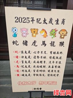 十二生肖2025年运势运程完整解析 十二生肖2025年全年运程大全与化解-第1张图片