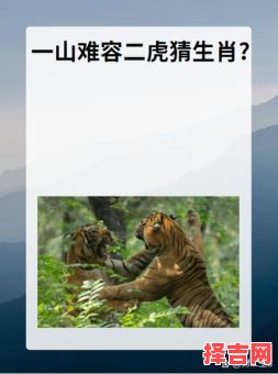 胆大包天猜一生肖-第1张图片 胆大包天猜一生肖-第1张图片