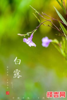 2021年白露是几月几号-第1张图片 2021年白露是几月几号-第1张图片