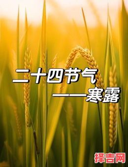 寒露在2023年的具体日期-第1张图片 寒露在2023年的具体日期-第1张图片