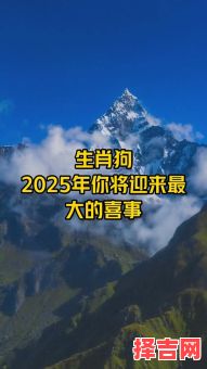 属狗女性2025年5月购房吉日 属狗者领证吉日-第1张图片