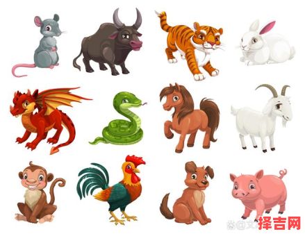 东张西望是哪种动物 十二生肖东张西望是哪个动物-第1张图片