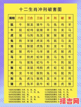 属鼠的最适合和什么属相相配，属鼠和哪些属相合适-第1张图片