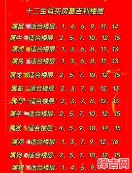 属马属虎的人住什么楼层吉利属马的适合住什么楼层最好最吉利-第1张图片