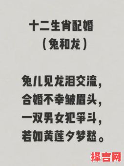 龙男与兔女婚配好吗 龙和兔婚姻相配吗-第1张图片