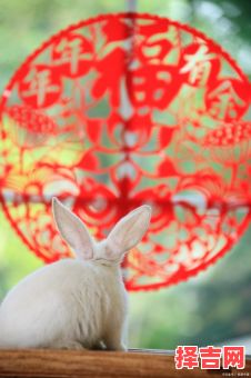 雨打灯笼是哪个生肖-第1张图片