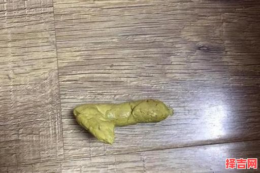 梦到清除粪便,梦见自己排出一堆粪便-第1张图片 梦到清除粪便,梦见自己排出一堆粪便-第1张图片